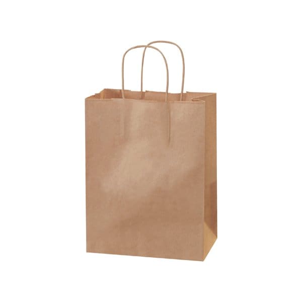 Bsc Preferred 8 x 4-1/2 x 10 1/4'' Kraft Paper Shopping Bags, 250PK BUY00029589 - main